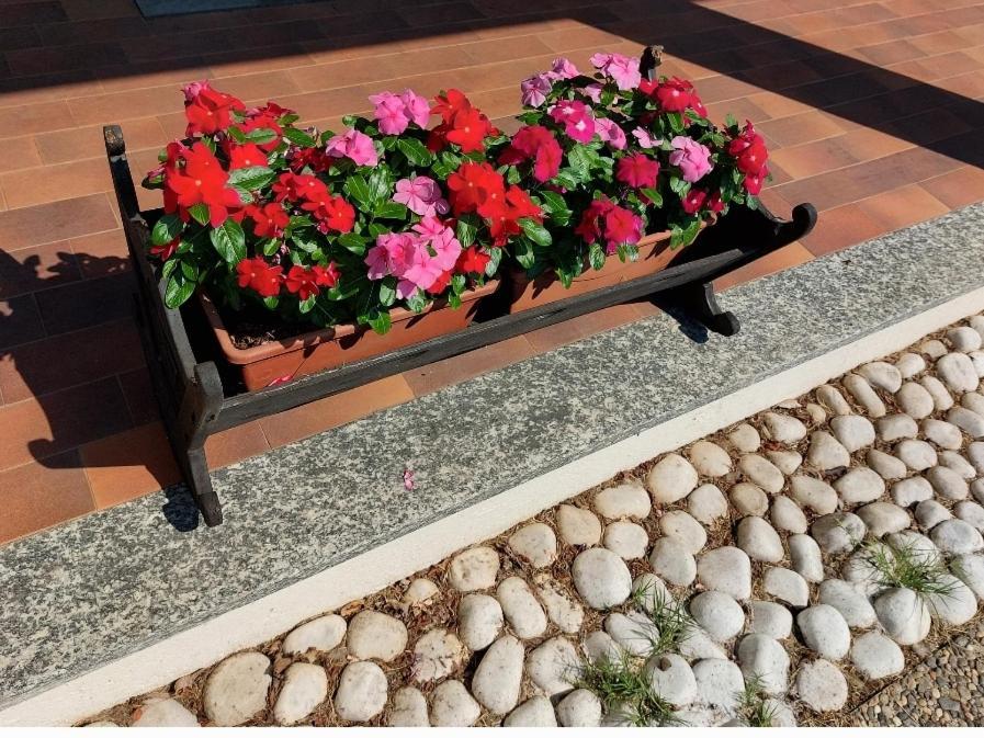 Skylab Hotel Gozzano ภายนอก รูปภาพ